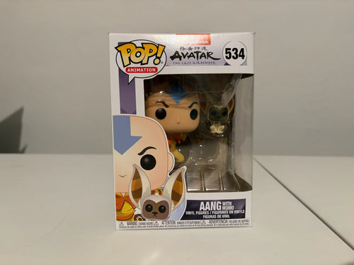 Aang With Momo