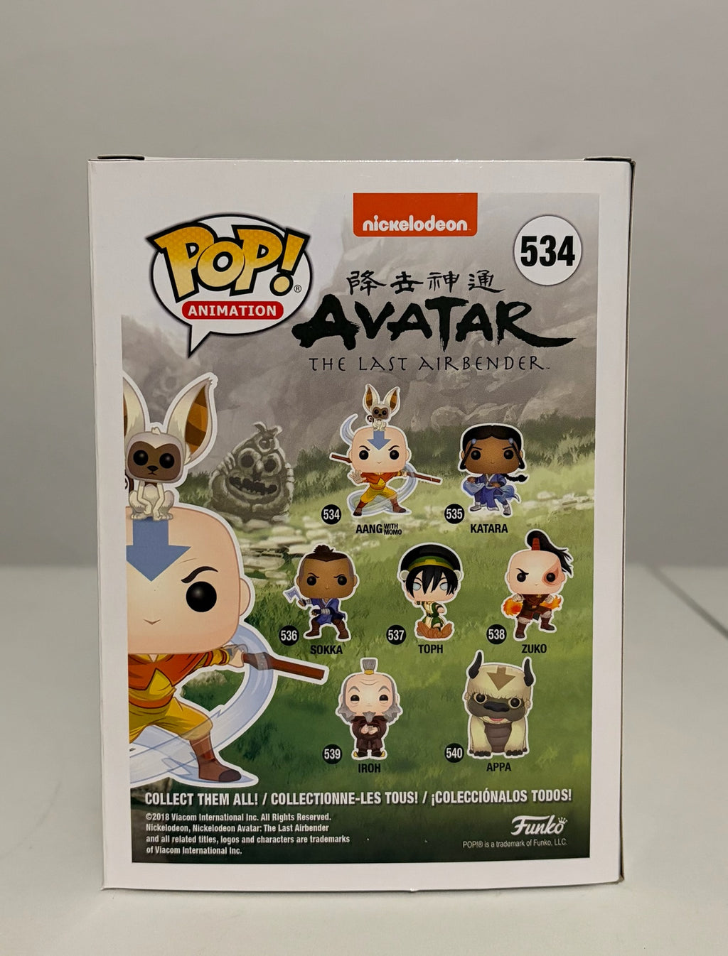 Aang With Momo