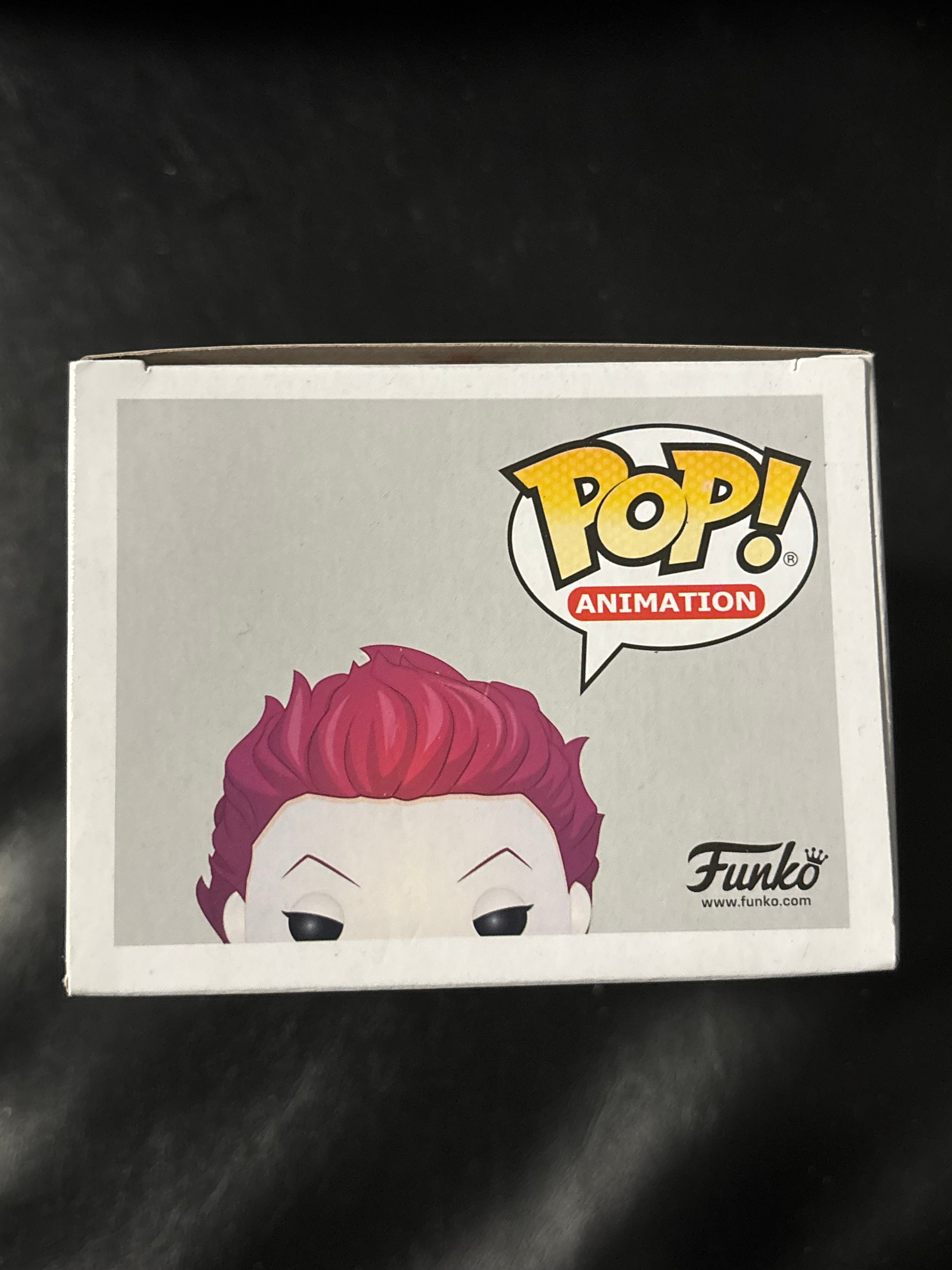 Hisoka #652 (Hunter Hunter)