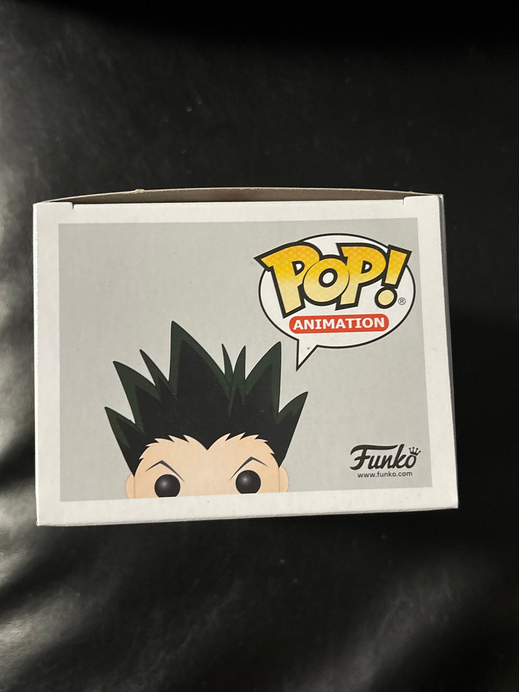 Gon Freecss #802 (Hunter Hunter) Hottopic Exclusive