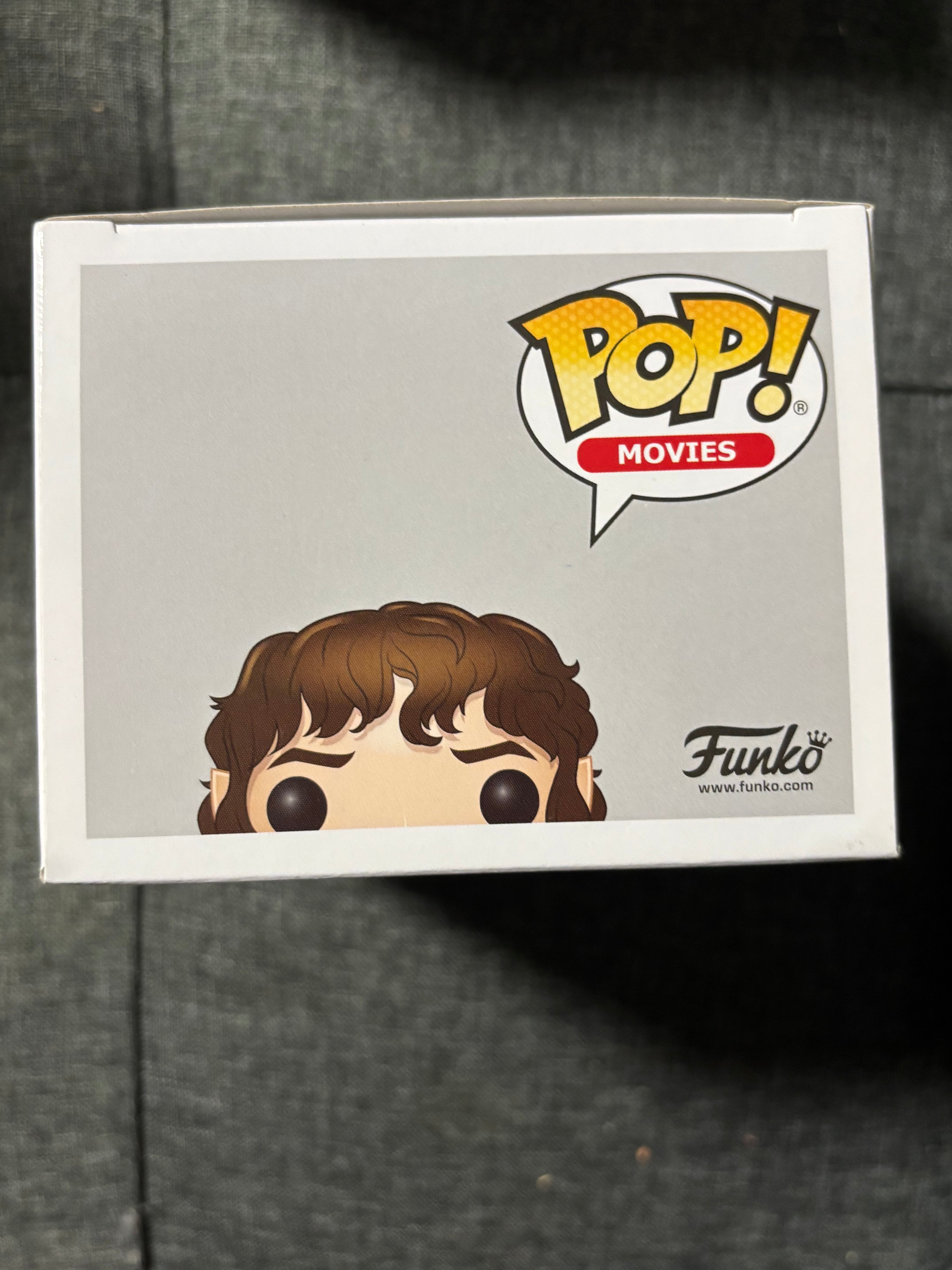 Frodo Baggins (The Lord of The Rings)